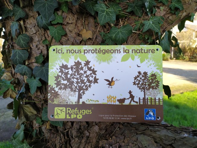 Hébergement AbracadaRoom : La roulotte "Sous le soleil" - Image 19