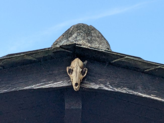 Domaine AbracadaRoom : Datcha en Brocéliande - Image 4