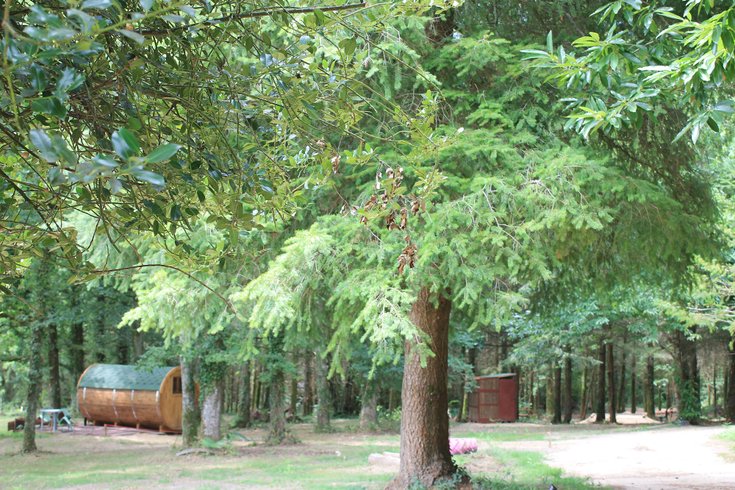 Domaine AbracadaRoom : L'Etoile Perchée - Image 13