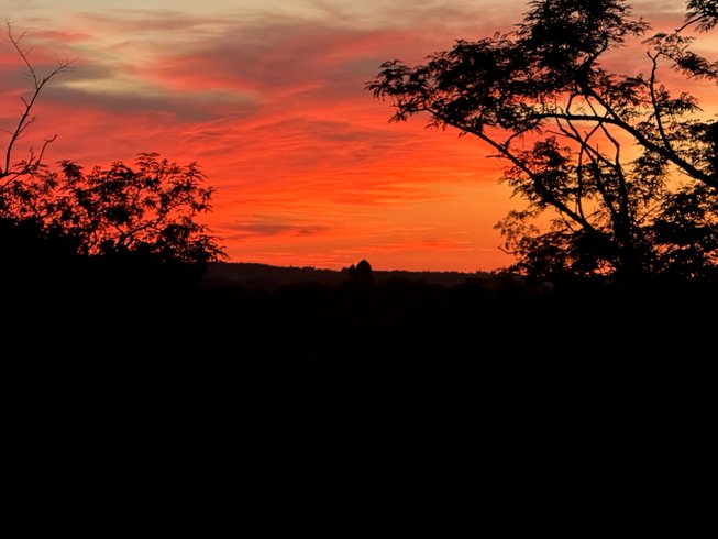 Domaine AbracadaRoom : Les cabanes d'ED - Image 6