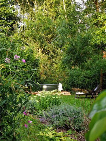 Hébergement AbracadaRoom : La Tiny House de La Rivière - Image 6