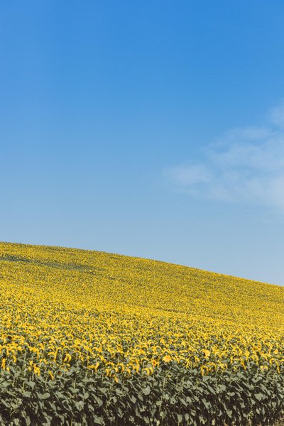 Domaine AbracadaRoom : Le Sanctuaire des sorciers - Image 5