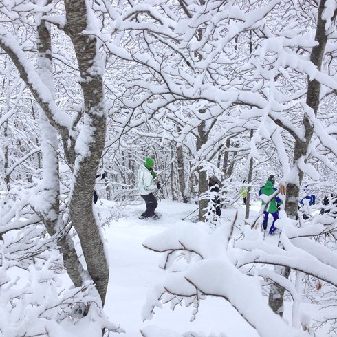 Domaine AbracadaRoom : L' Aventure Nordique - Station de ski de Gourette - Image 3