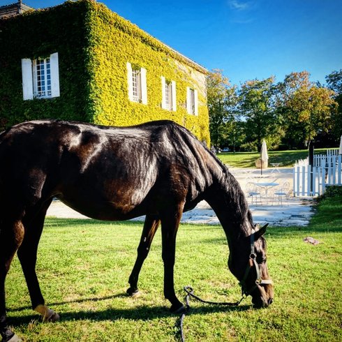 Domaine AbracadaRoom : Homnest (Mortagne) - Image 16