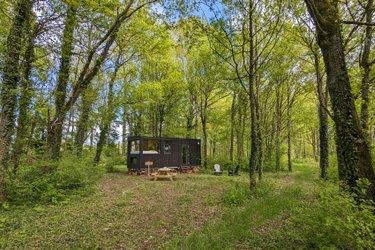 Tiny House La Clairière à Sonchamp (1)