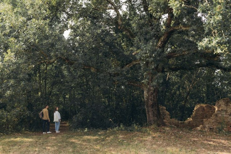 Domaine AbracadaRoom : L'éco-Tô - Image 5