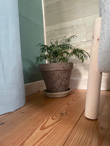 Hébergement AbracadaRoom : Ti'Nid, cocon confortable et lumineux - Image 21