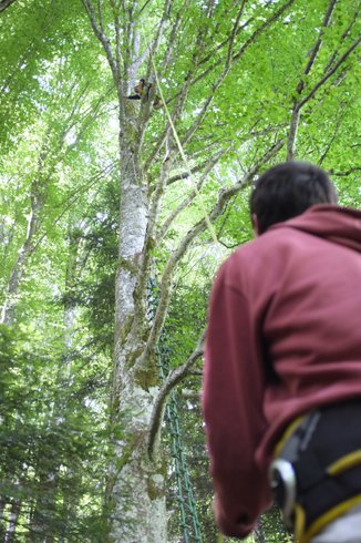 Hébergement AbracadaRoom : Nuit perchée en hamac n°2 - Image 8