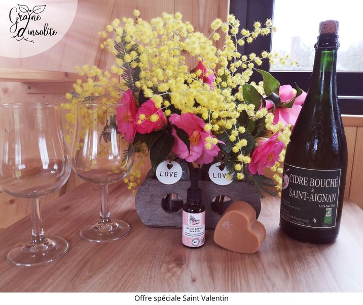 Hébergement AbracadaRoom : La Tiny Graine d'insolite - Image 24