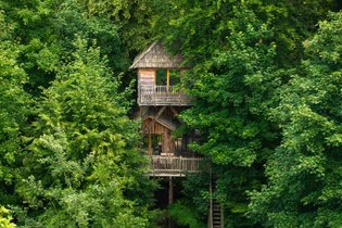 Treehouse Oise