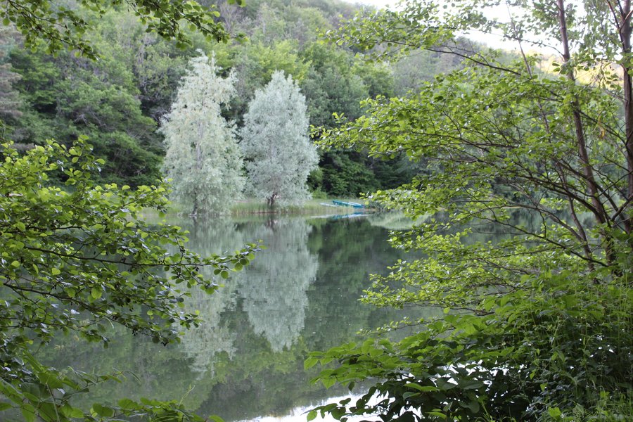 Domaine AbracadaRoom : La Combe Rossignol - Image 3