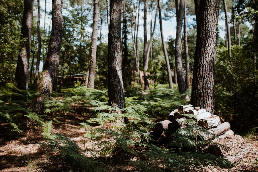 Domaine AbracadaRoom : Tiny Stay Ecolodge - Image 8