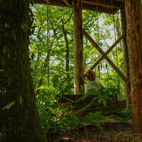 Domaine AbracadaRoom : Nid'en'Ô Les Cabanes dans les Arbres - Image 20