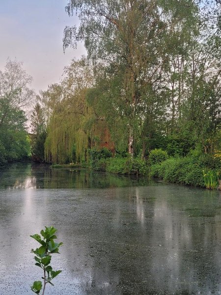 Domaine AbracadaRoom : Cabanes en thierache - Image 2