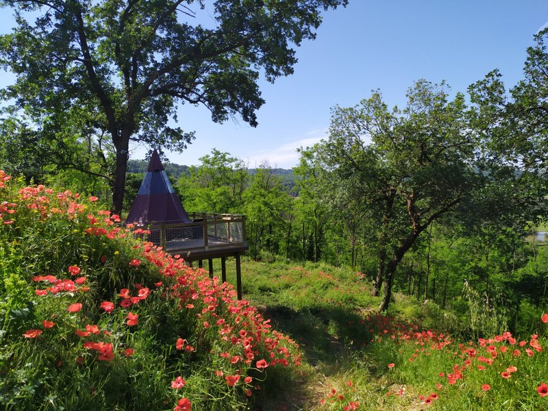 Hébergement AbracadaRoom : Tente Suspendue Rubis - Image 2