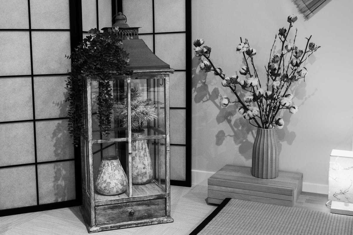 Le Jade Rouge spa & sauna à Barenton (28)