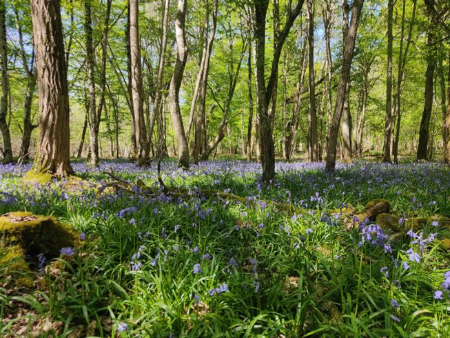 Hébergement AbracadaRoom : Cabane, spa et nature - Image 11