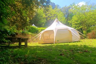 Châtaigne étoilée Familiale