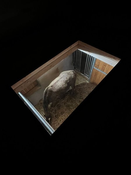 Hébergement AbracadaRoom : La Stabu des prés Hauts & Spa - Image 8