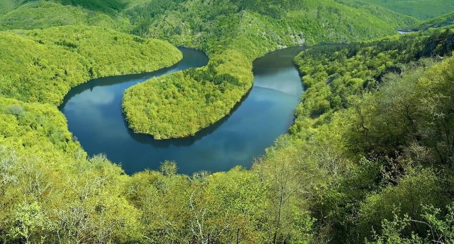 Domaine AbracadaRoom : Moose Tiny House Ambur - Image 33