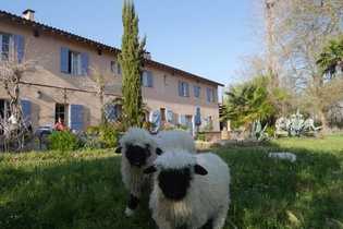 Centre Agro Environnemental de Brassacou