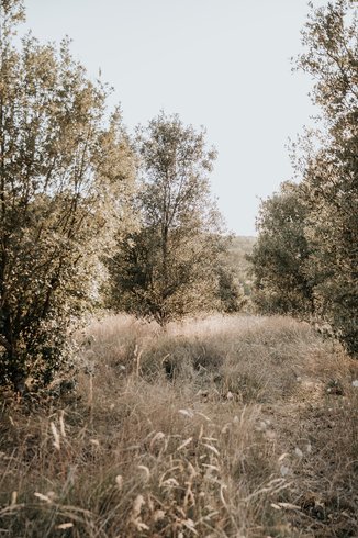 Domaine AbracadaRoom : Domaine Saint-Amand - Image 8