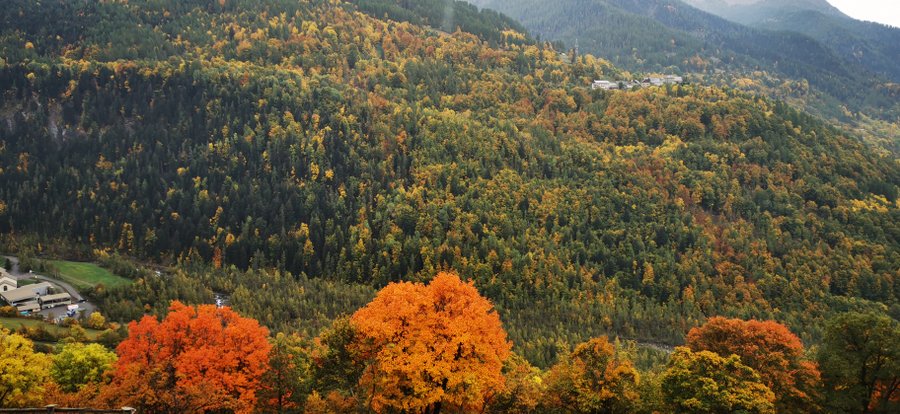 Domaine AbracadaRoom : Chalet des Babous - Image 11