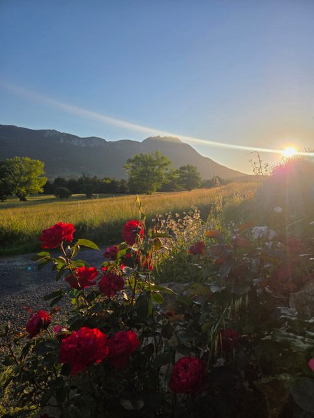 Domaine AbracadaRoom : La Pauze hebergements - Image 2