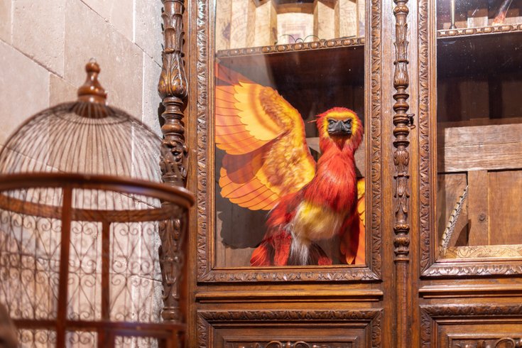 Hébergement AbracadaRoom : Appartement du sorcier Immersif et mémorable & Parking - Image 4