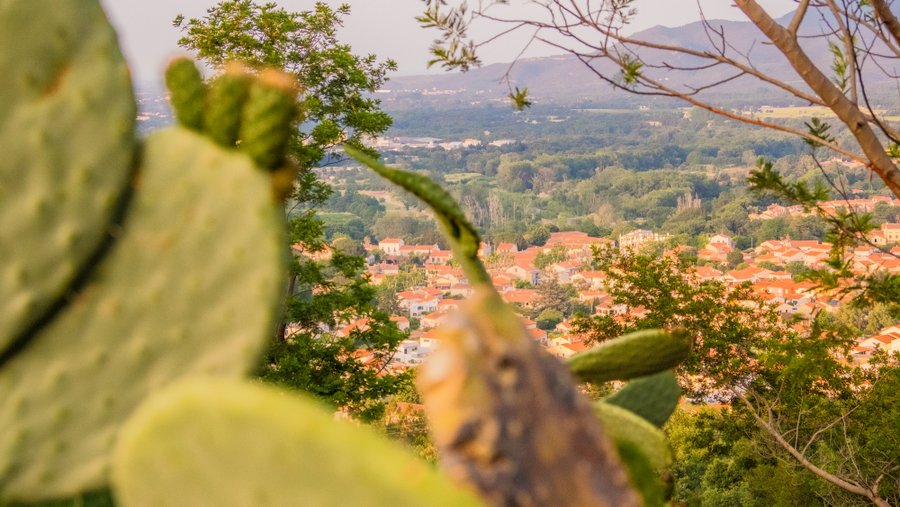 Domaine AbracadaRoom : Homnest (Céret) - Image 32