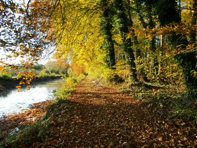 Domaine AbracadaRoom : Parc et chateau de Gizeux - Image 10