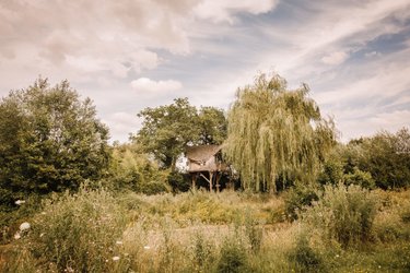 Cabane de l'Oural à Pommerieux (1)