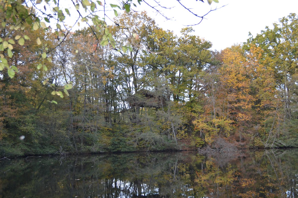 Cabane Lisbonne à La Baconnière (10)