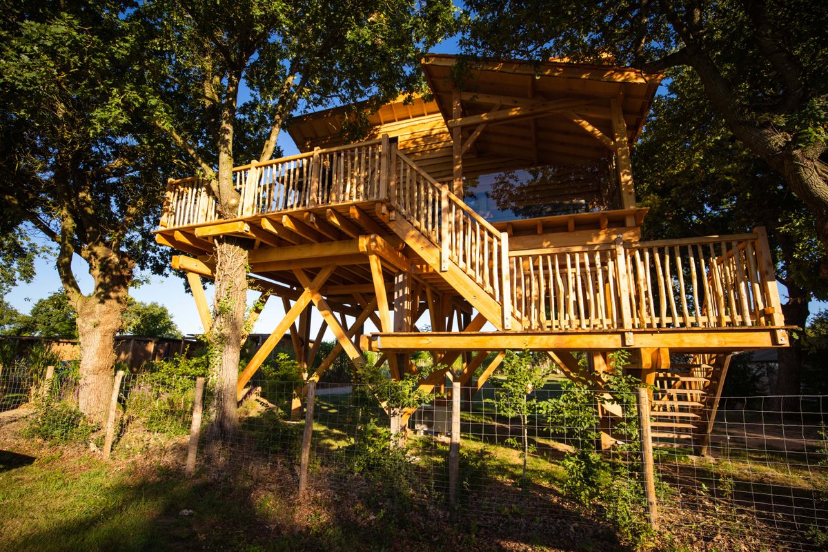 Cabane Spa dans les arbres - 6 personnes à La Guyonniere (2)