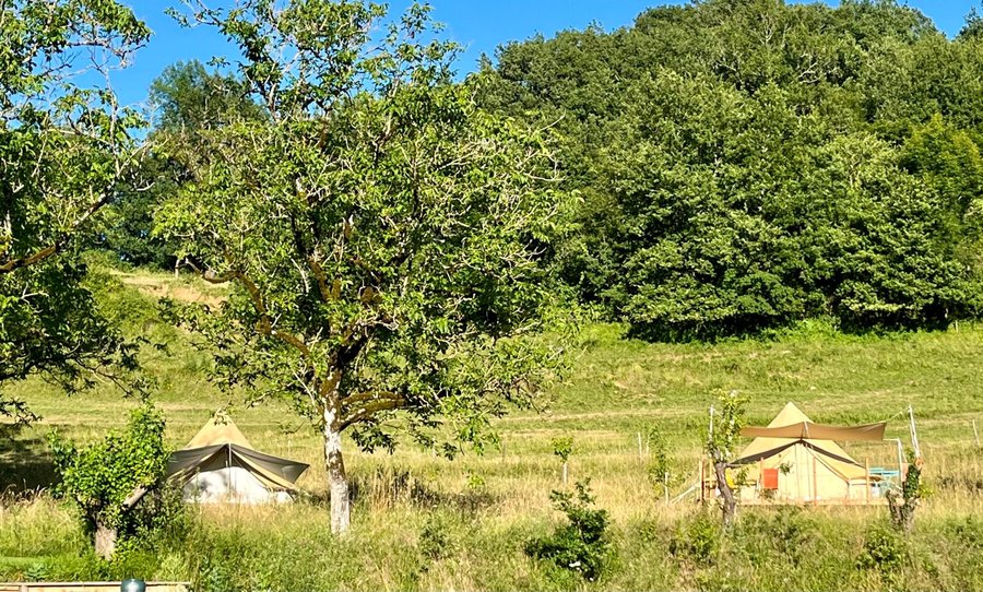 Hébergement AbracadaRoom : Tente Châtaigne - Image 7