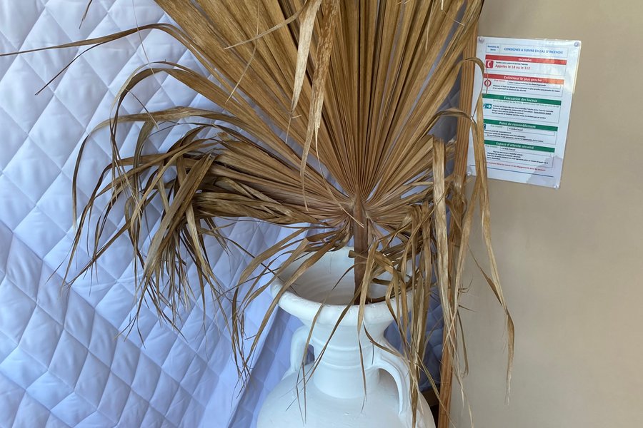 Zingarabella — photo 2