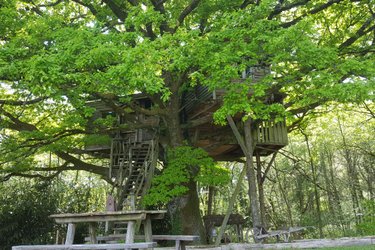 La cabane Peyrade à Sexcles (2)