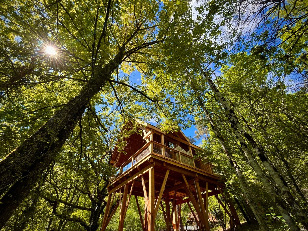 Cabane perchée & spa + sauna à Puygaillard De Quercy (1)