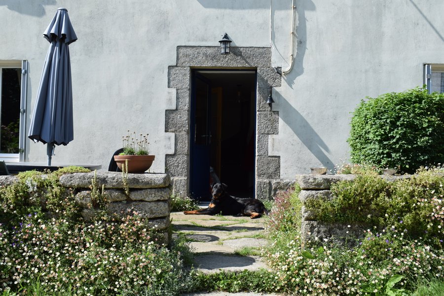 Domaine AbracadaRoom : La ferme de Penquelen Huella - Un Lit au Pré (à supprimer) - Image 4