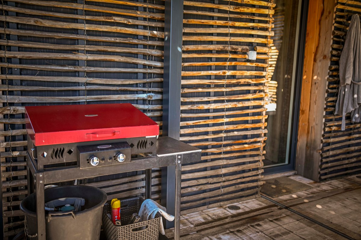 L'ASPHODELE la cabane chic à Saze (43)