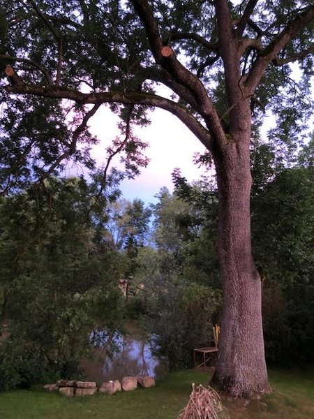 Domaine AbracadaRoom : Chalet Pulligny - Image 10