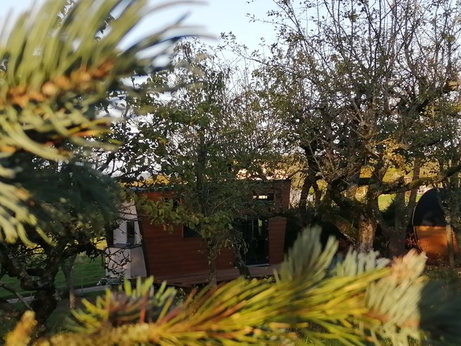 Domaine AbracadaRoom : Tiny House "Ô P'tit Nid Milie"   avec sauna : Classé 1 étoile - Vosges - Image 7