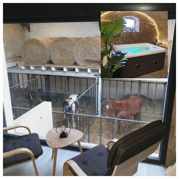 Hébergement AbracadaRoom : Chambre 4 -  3 pers. vue panoramique sur l’ensemble des chevaux - Image 3