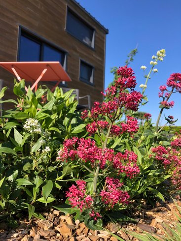 Hébergement AbracadaRoom : Tiny de Ker Ael - Image 13