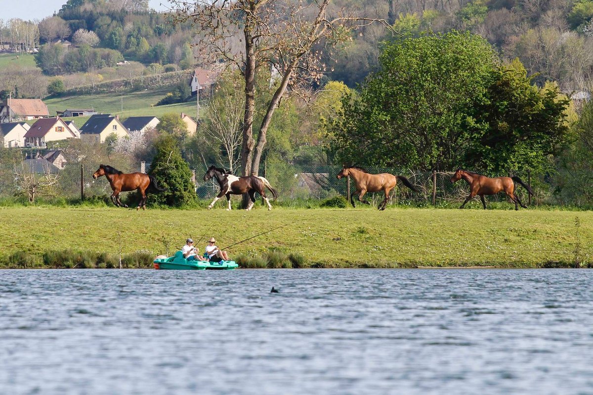 Cabane sur l'eau avec bain nordique à Beauchamps (27)