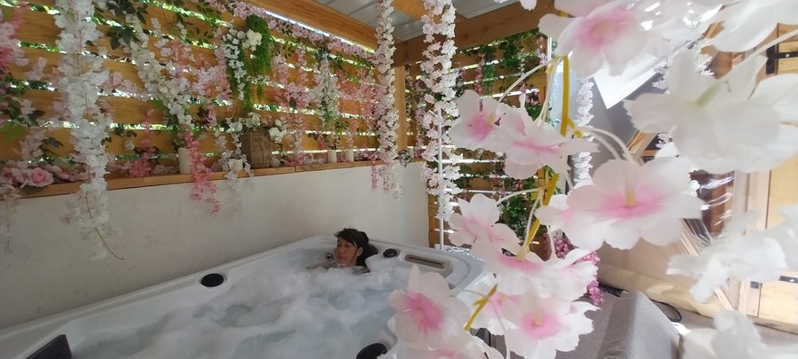 Hébergement AbracadaRoom : "M"ANON-Dôme Géodésique, piscine, spa et sauna. - Image 8