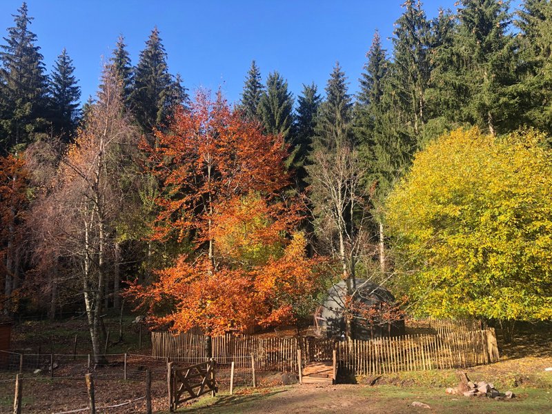 Hébergement AbracadaRoom : Dôme au milieu des Alpagas - Image 39