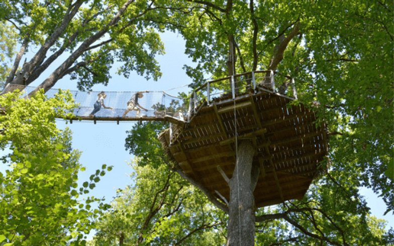 Hébergement AbracadaRoom : Cabane Guadeloupe - Image 7