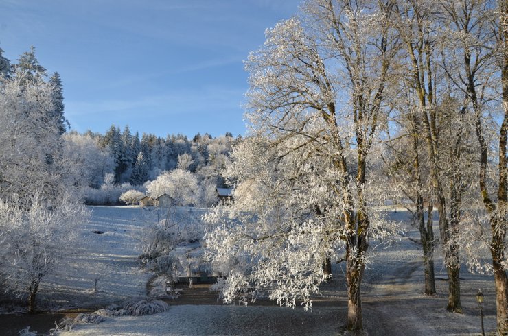 Domaine AbracadaRoom : Monchâteau étoilé - Image 51