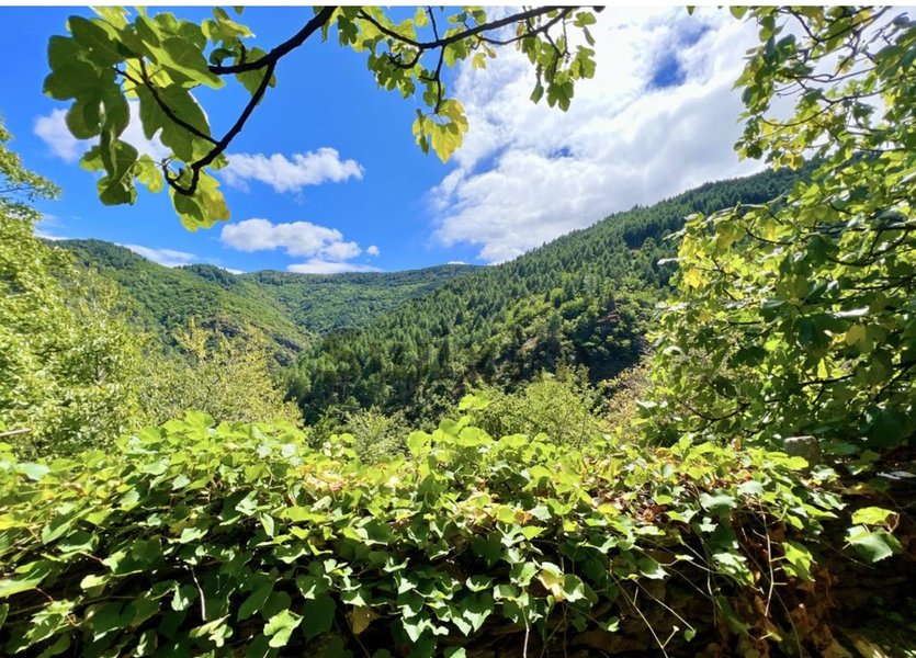 Domaine AbracadaRoom : Écolieu les Masades - Image 3